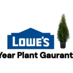 Lowe's 1-Year Plant Gaurantee return policy to hassle-free plant returns